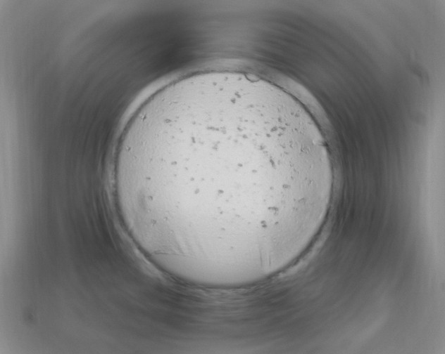 X0000112781436200910011248