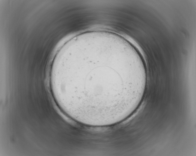 X0000112781437200910011248