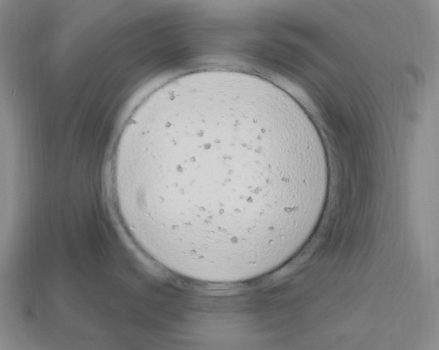 X0000112781440200910011248