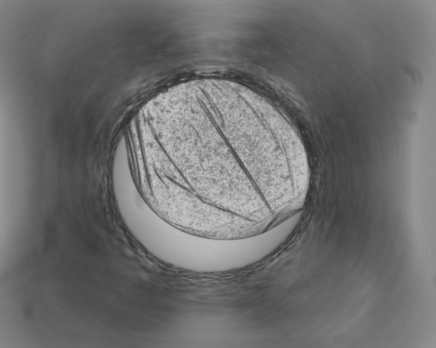 X0000112781445200910011247