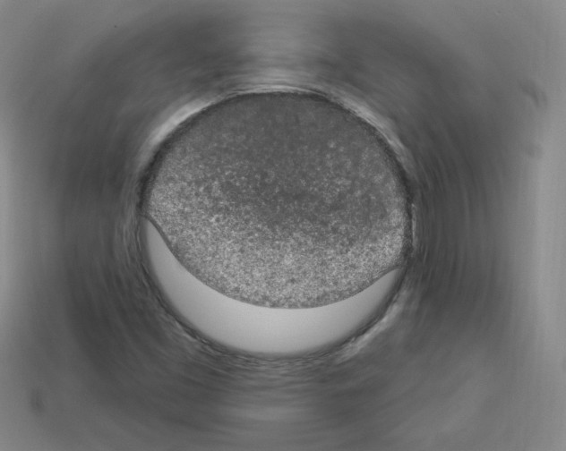 X0000112781453200910011247