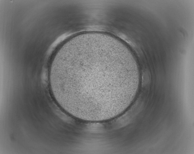 X0000112781454200910011247