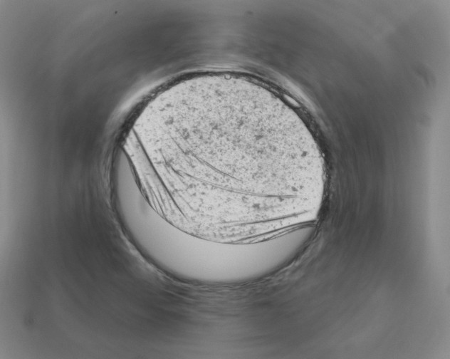 X0000112781456200910011247