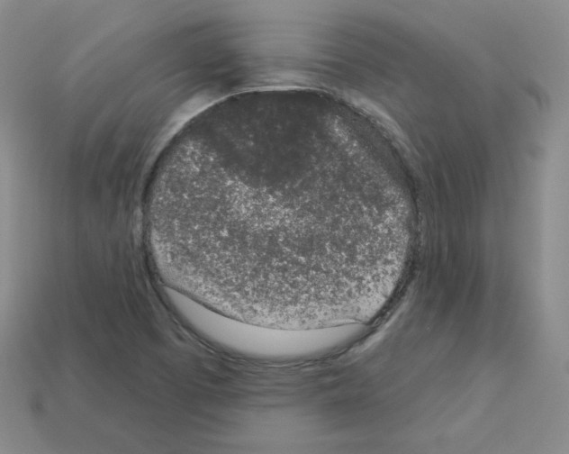 X0000112781457200910011247