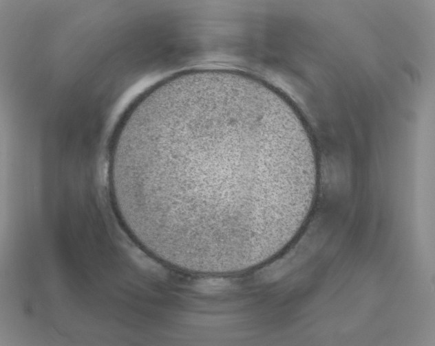 X0000112781462200910011247