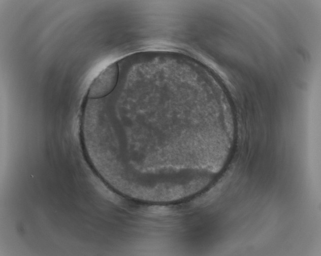 X0000112781463200910011247