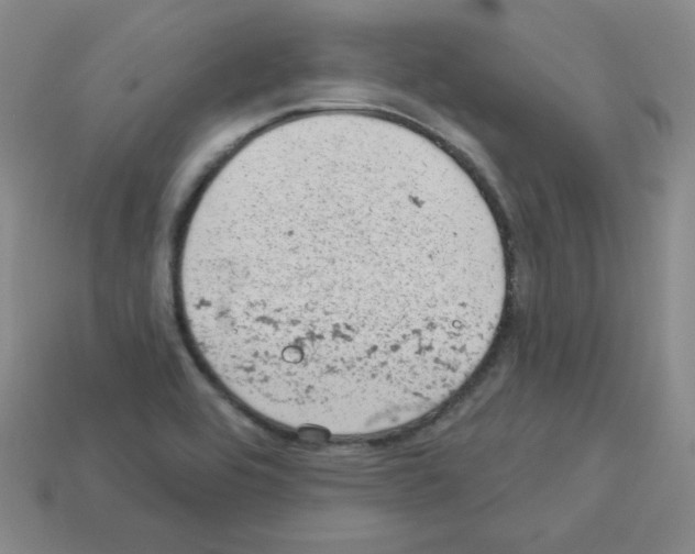 X0000112781464200910011247