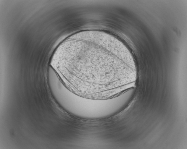 X0000112781465200910011247