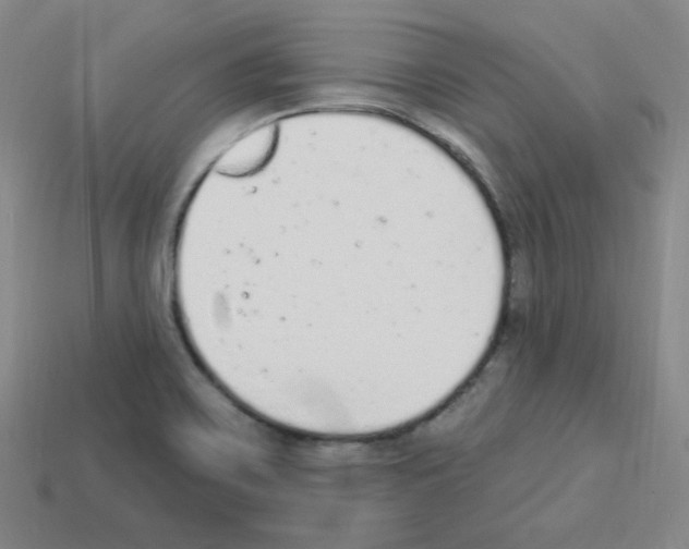 X0000112781467200910011247