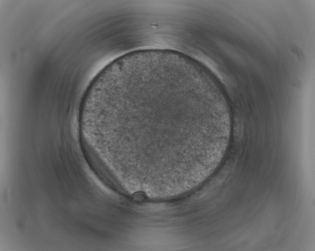 X0000112781468200910011247