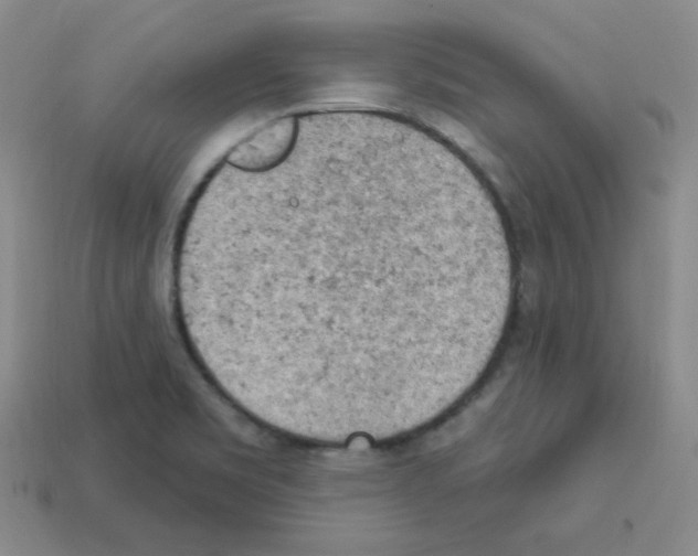 X0000112781469200910011247