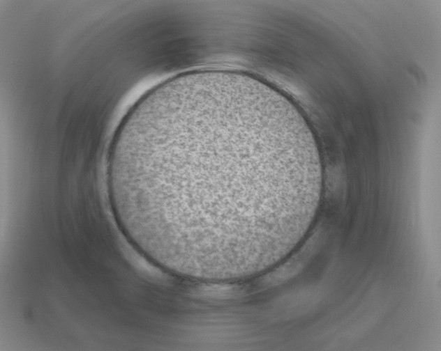 X0000112781470200910011247