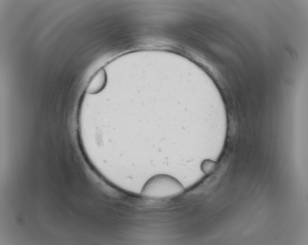 X0000112781471200910011247