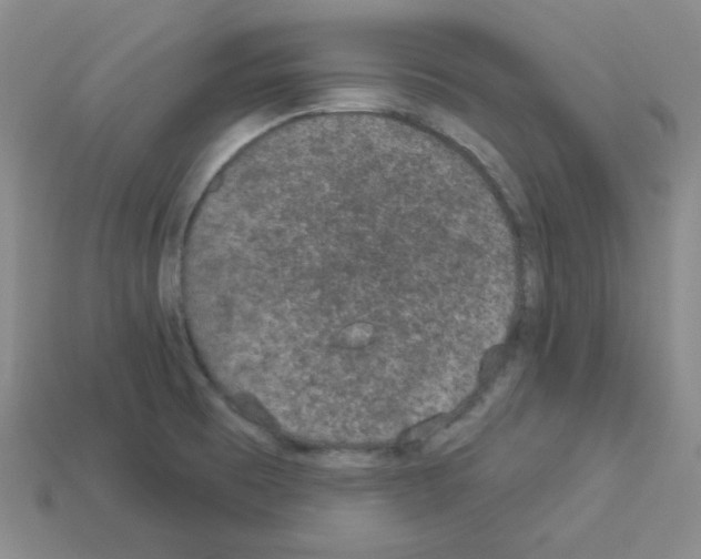 X0000112781473200910011247