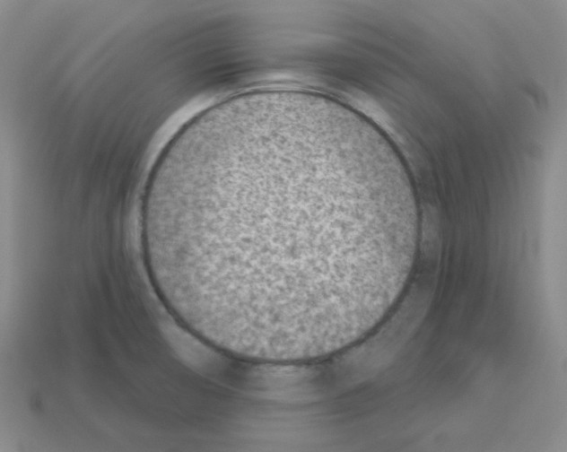 X0000112781474200910011247