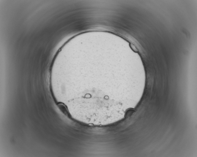 X0000112781476200910011247