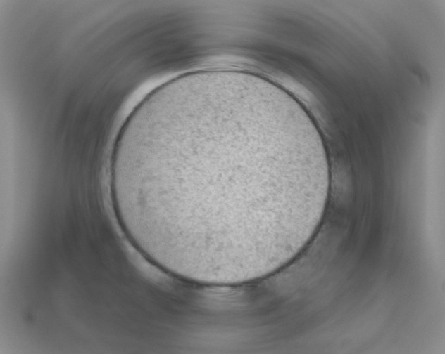 X0000112781478200910011247