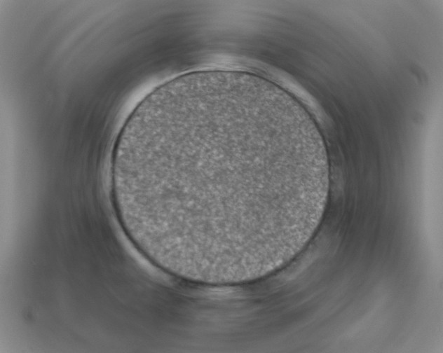 X0000112781479200910011247