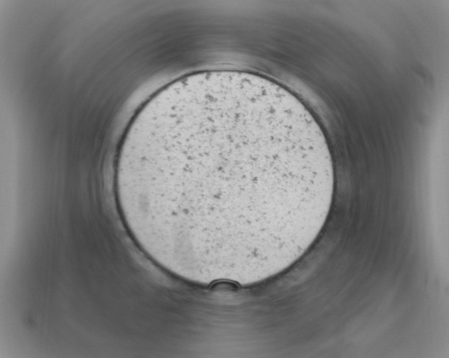 X0000112781480200910011247