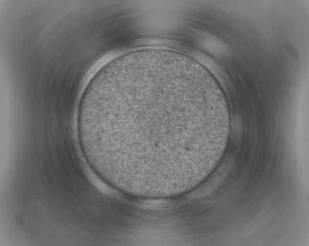 X0000112781482200910011247