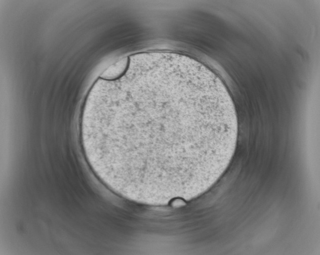 X0000112781483200910011247