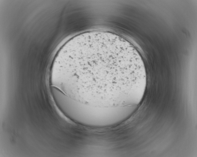 X0000112781484200910011247