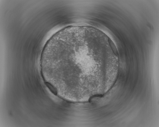 X0000112781485200910011247