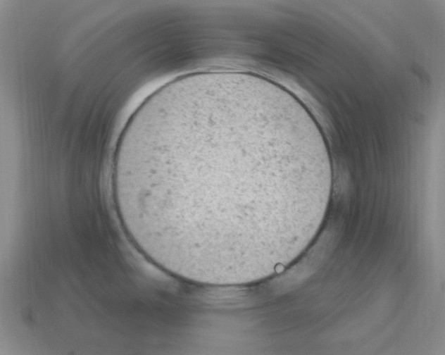 X0000112781486200910011247