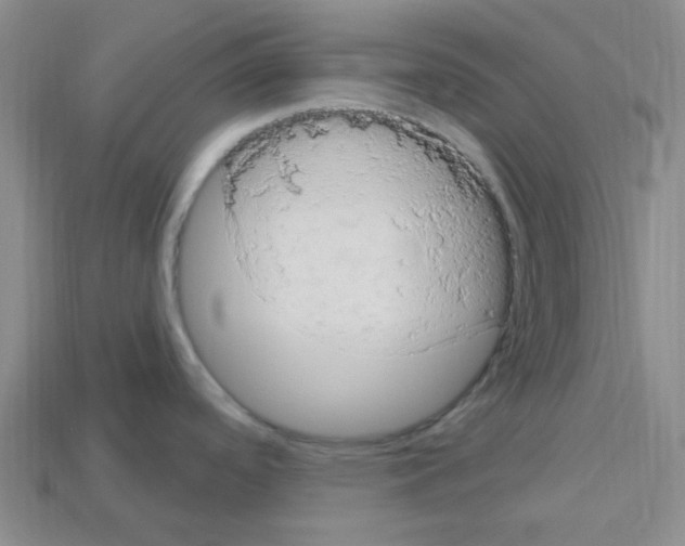 X0000112781488200910011247