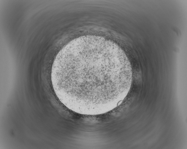 X0000112781489200910011246