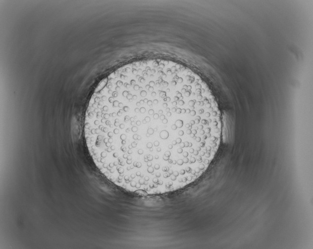 X0000112781491200910011246