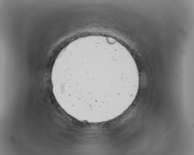 X0000112781494200910011246