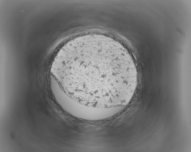 X0000112781496200910011246