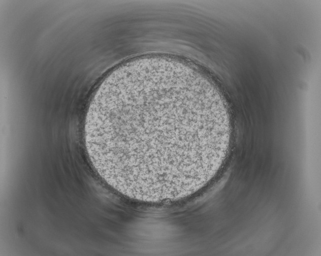 X0000112781497200910011246