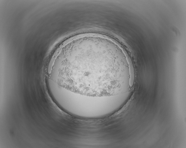 X0000112781500200910011246