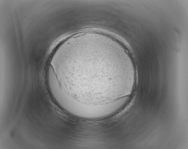 X0000112781501200910011246