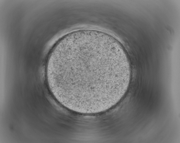 X0000112781503200910011247