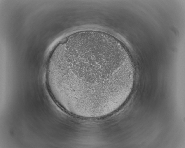 X0000112781504200910011247