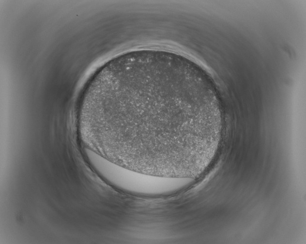 X0000112781506200910011247