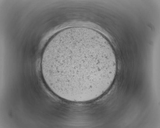 X0000112781507200910011247