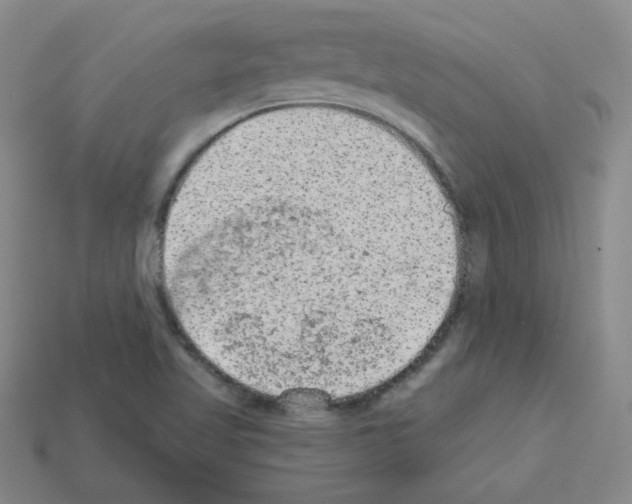 X0000112781509200910011247