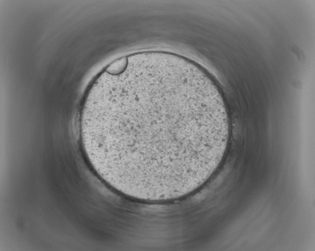 X0000112781510200910011247