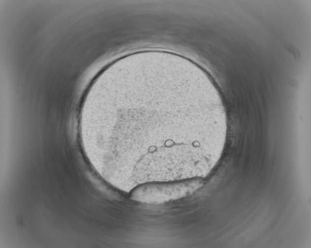 X0000112781511200910011247