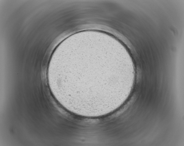 X0000112781513200910011247