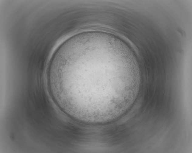 X0000112781514200910011247