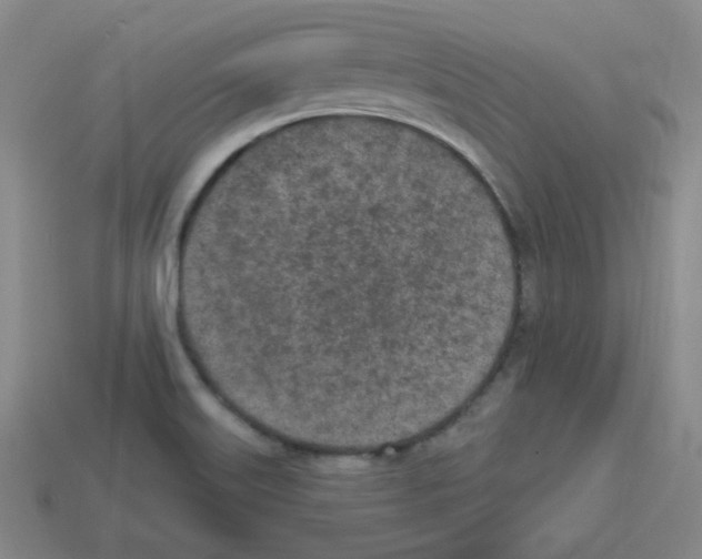 X0000112781515200910011247