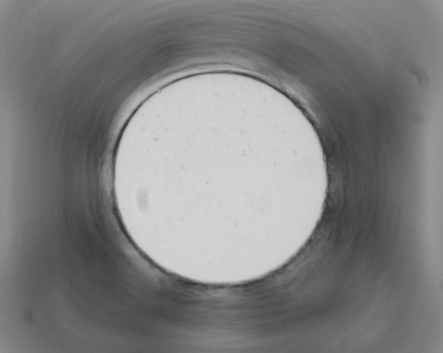 X0000112781516200910011247