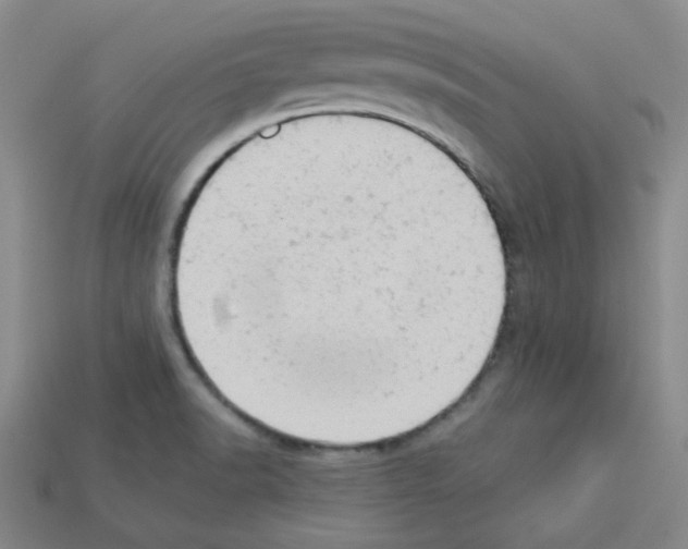 X0000112781518200910011247