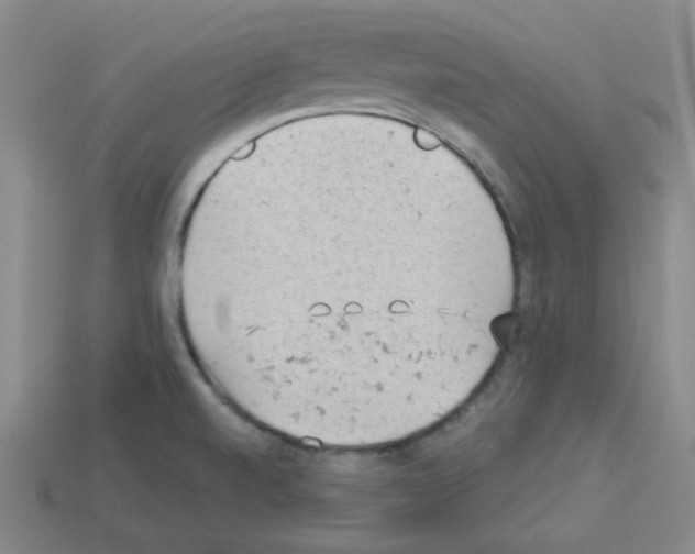 X0000112781520200910011247