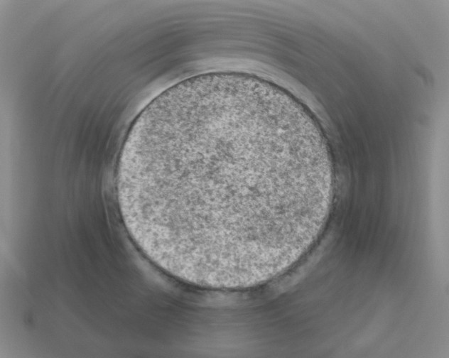 X0000112781521200910011247